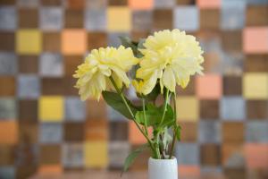 丁克尔斯比尔Hotel PIAZZA的桌子上白色花瓶里两朵黄色花