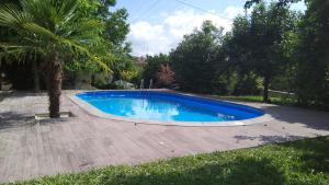 布拉加布拉加甜蜜的家旅舍的棕榈树庭院中的游泳池