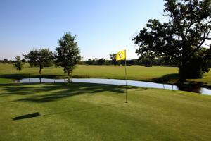 蒙布里松弗艾明星酒店的绿色中心带池塘的高尔夫球场