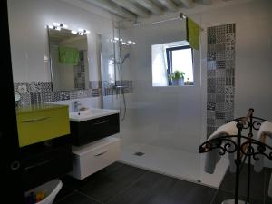 MilleryLa Maison Forte的白色的浴室设有水槽和淋浴。