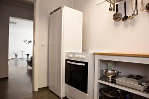 韦斯特曼纳埃亚尔海雀巢胶囊旅馆的厨房配有炉灶和白色橱柜。