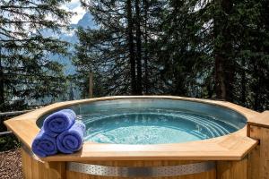 阿罗萨Blatter's Arosa Hotel & Bella Vista SPA的热水浴池配有2条毛巾