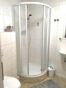 上特劳恩Haus Salzkristall的带淋浴的浴室(带卫生间和水槽)