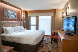 班夫班夫雷鸟酒店的配有一张床和一台平面电视的酒店客房