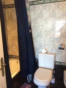 加的斯Luxury Oceanfront triplex in Cadiz的浴室配有卫生间、淋浴和浴缸。