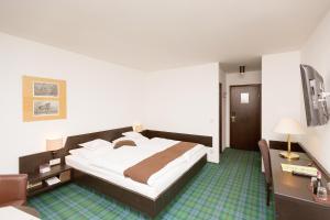 克舍尔阿尔潘霍夫波特利昂酒店的酒店客房设有一张大床和一张书桌。