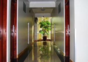 阿鲁沙麦克伊利酒店的走廊上设有玻璃地板和盆栽
