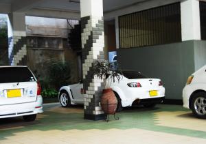 阿鲁沙麦克伊利酒店的两辆白色汽车停在车库前