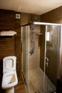 OrestiadaHotel Electra的一间带卫生间和淋浴的浴室