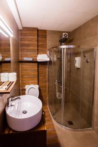 OrestiadaHotel Electra的带淋浴、卫生间和盥洗盆的浴室