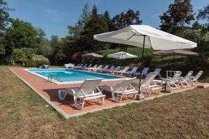卢卡Bed and breakfast Villa Torre degli Onesti Apartments的一个带躺椅和遮阳伞的游泳池