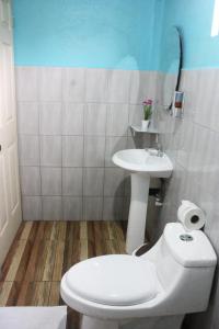 比加瓜Cabinas Cascada Rio Celeste的浴室配有白色卫生间和盥洗盆。