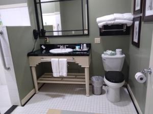 MayfieldSouthern Comfort Suites的一间带水槽、卫生间和镜子的浴室