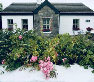 杜林The Old Cottage的雪中花束的房子