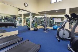 旧金山多纳特罗酒店的健身房设有数台跑步机和健身器材