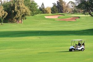 瓦克拉帕尼欧罗园林度假酒店的高尔夫球车在绿色高尔夫球场上驾驶