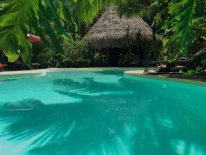 萨玛拉绿色小壁虎酒店的蓝色水屋前的游泳池