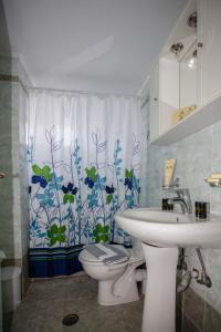 特里欧皮特拉Hill of Calm的浴室配有水槽、卫生间和浴帘