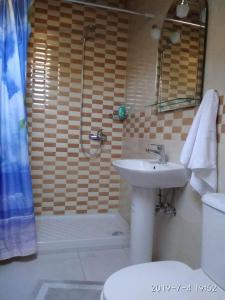 埃尔莫奈斯艾蒙尼斯玛尔旅馆的一间带水槽、淋浴和卫生间的浴室