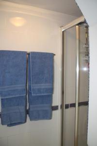斯旺西Ortari@70的一间带蓝色毛巾和淋浴的浴室