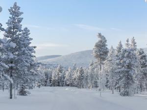 KyröHoliday Home Pallaskieppi by Interhome的积雪覆盖的森林,覆盖着雪覆盖的树木