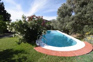 塞尔丘克Villa Demeter的一座种有树木和鲜花的庭院内的游泳池