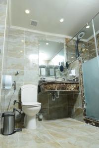 亚历山大阿尔蒙塔扎东方酒店的一间带卫生间、淋浴和镜子的浴室