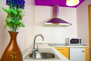 阿尔么丽亚16:9普拉雅套房公寓酒店的厨房配有水槽和花瓶,花朵紫色