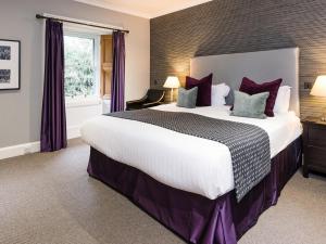 皮特洛赫里克莱加汀庭院乡村民宿的大卧室配有一张带紫色枕头的大床