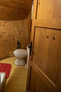 卡姆尼克Chalet Gasparjeva Velika Planina的一间带卫生间和木门的浴室