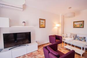 马拉加Cubo's Villa Yedra Guadalmar的客厅配有大电视和紫色椅子
