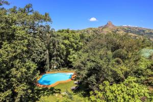 埃祖尔韦尼蒙特佳酒店的森林中游泳池的顶部景色
