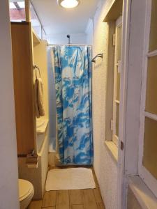 维纳德马Sentir Patagonia的一间带蓝色淋浴帘的淋浴的浴室