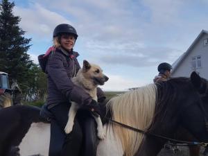 塞尔福斯Vorsabær Apartment的骑着马的女人,带着狗