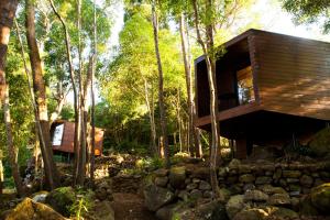 BiscoitosCaparica Azores Ecolodge的树林里一棵树屋,堆着一堆岩石