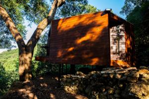 BiscoitosCaparica Azores Ecolodge的木小屋,毗邻一棵树和一堵石墙