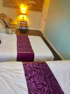 卡尔加里卡尔加里明星舒适之家旅馆的配有紫色和白色床单的客房内的两张床