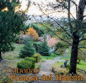 贝尔格拉诺将军镇Posada del Halcón - Cabañas y Suites的一座花园的画作,花园内有树木和灌木