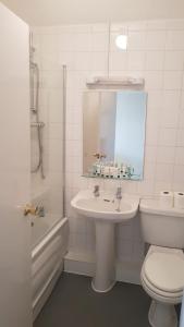 FladburyChequers Inn的一间带水槽、卫生间和镜子的浴室