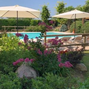 蒙赞巴诺agriturismo" il glicine bianco"的花园内,花园内摆放着鲜花和遮阳伞,毗邻游泳池
