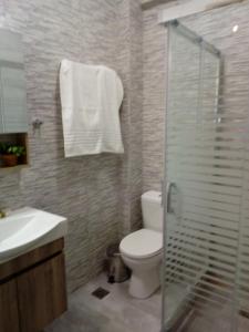 尼基季Ioannas的一间带卫生间和玻璃淋浴间的浴室