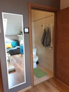 奥斯威辛Guesthouse Prusa 7的一间带卫生间和镜子的浴室