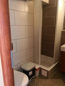 希欧福克Panoráma906 Apartman的一间带卫生间和淋浴的小浴室