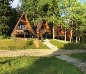 RozluchKarpatskyy的陡峭斜坡的大型木屋