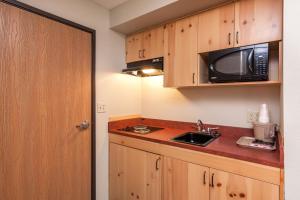 博兹曼山景小屋及套房酒店的一间带水槽和微波炉的小厨房