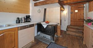 豪尔兹高Ferienhaus Wella的客房内的厨房配有炉灶