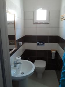 帕尔米B&B Andromeda的一间带水槽和卫生间的小浴室