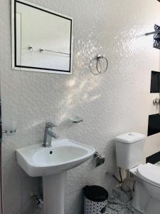 巴统Guesthouse Family的白色的浴室设有水槽和卫生间。