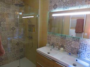 图尔尼LA MAISON DE MARION的浴室配有盥洗盆和带镜子的淋浴