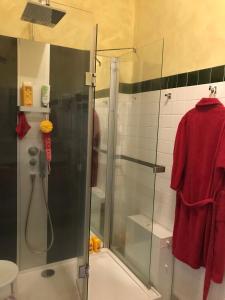 圣瑞尼安克洛斯德拉缪斯住宿加早餐旅馆的浴室里设有玻璃门淋浴